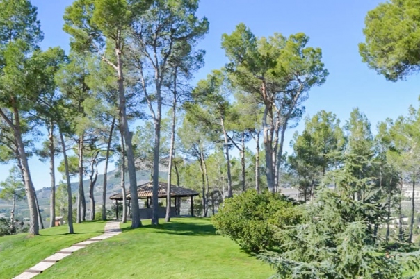 7 bed villa in Penáguila