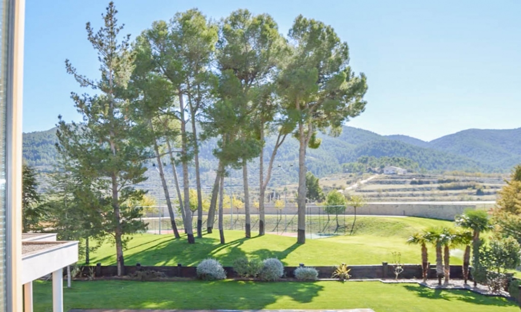 7 bed villa in Penáguila