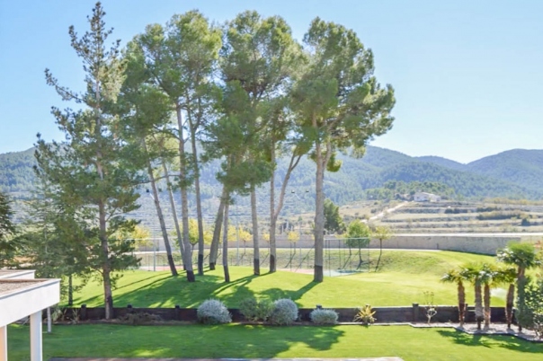 7 bed villa in Penáguila