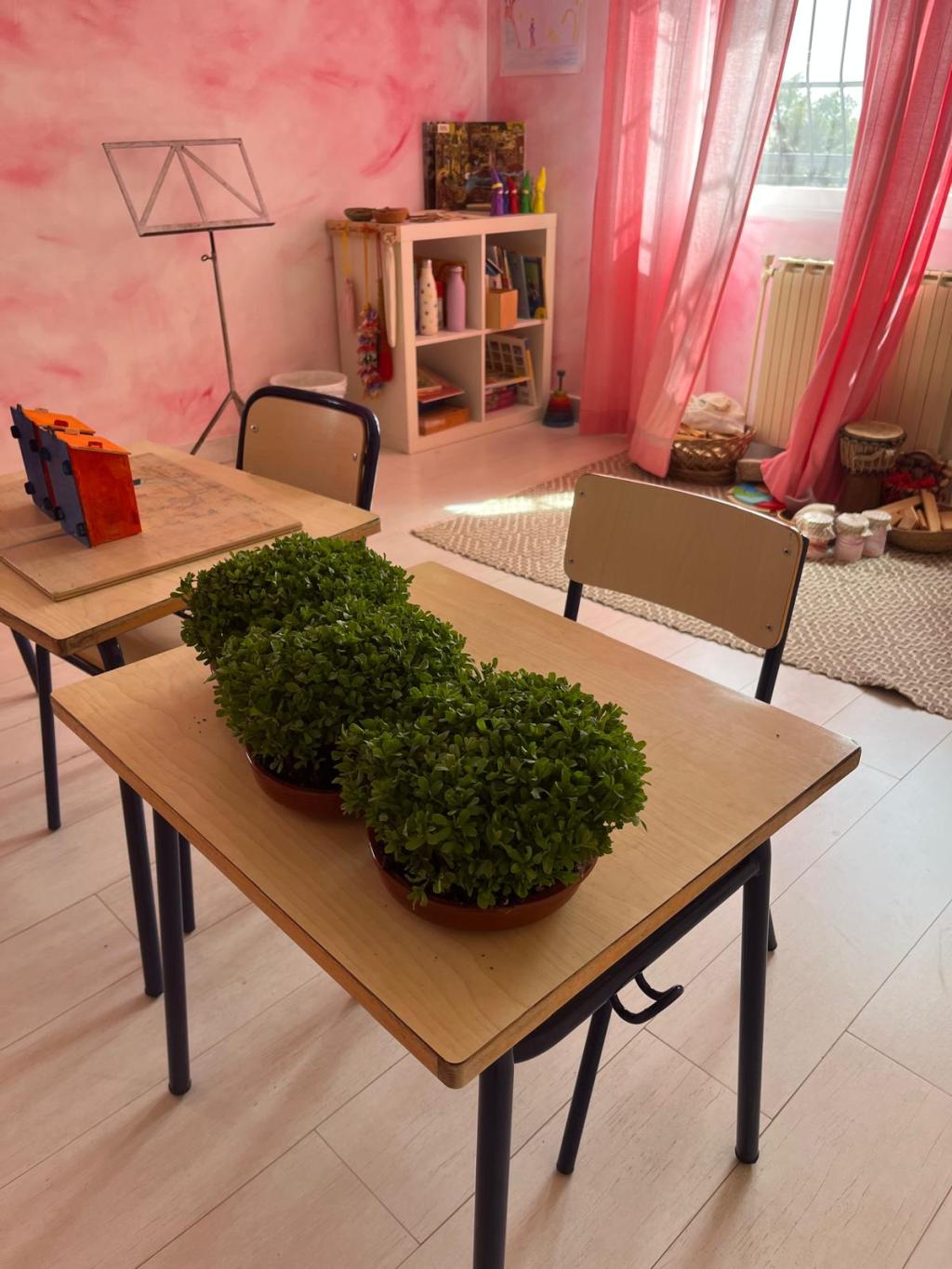 Escuela Internacional Waldorf Rudolf Steiner - International School Costa Blanca