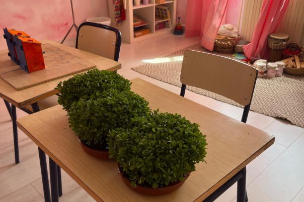 Escuela Internacional Waldorf Rudolf Steiner - International School Costa Blanca