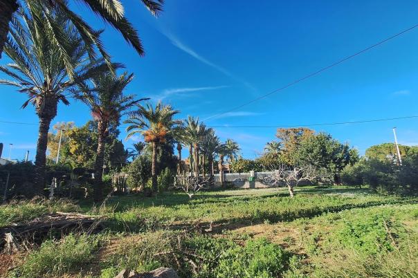 4 bed villa in Elche/Elx