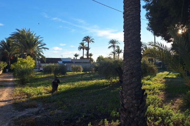 4 bed villa in Elche/Elx