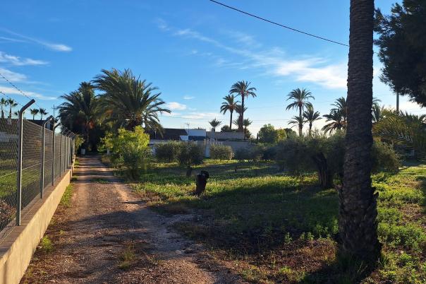 4 bed villa in Elche/Elx