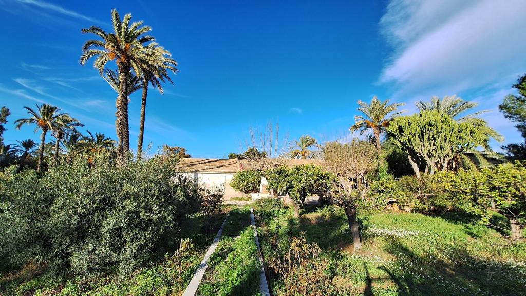 4 bed villa in Elche/Elx