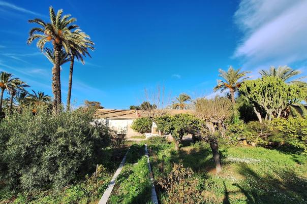 4 bed villa in Elche/Elx