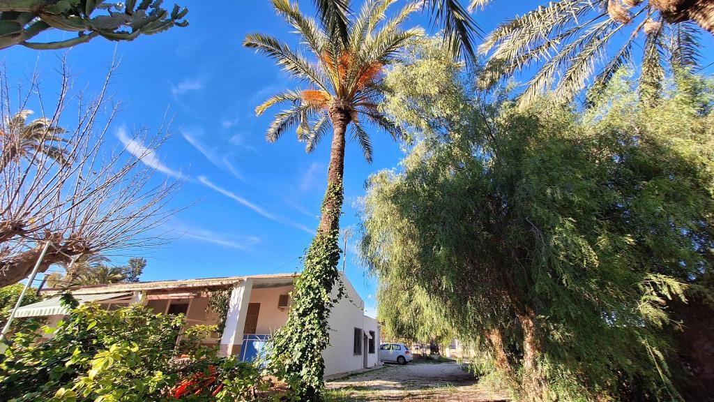4 bed villa in Elche/Elx
