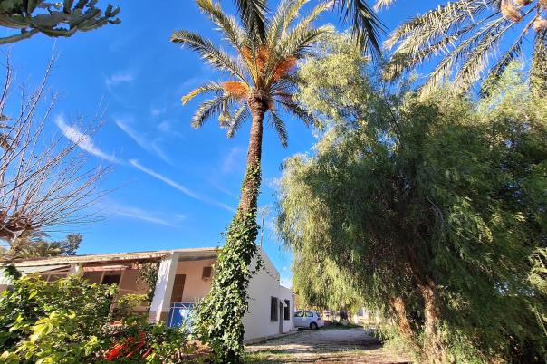 4 bed villa in Elche/Elx