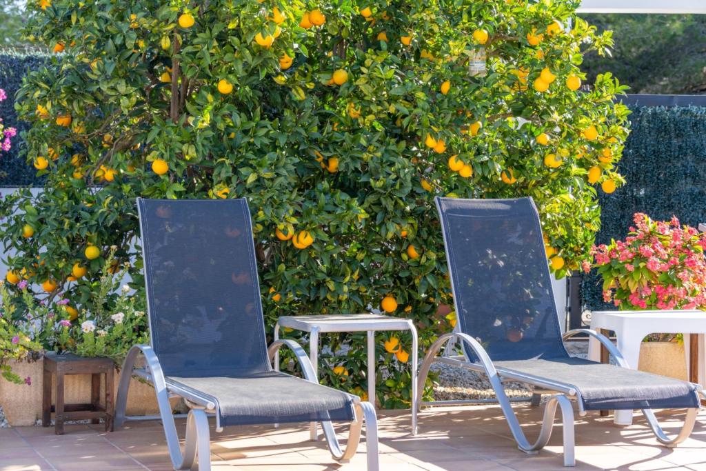 3 bed villa in Javea