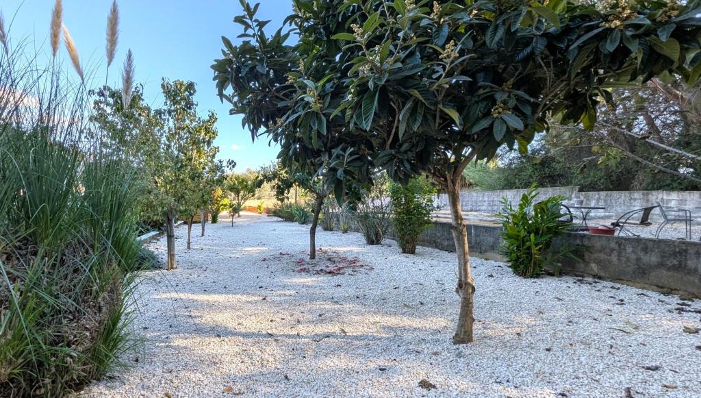 3 bed villa in Jesus Pobre