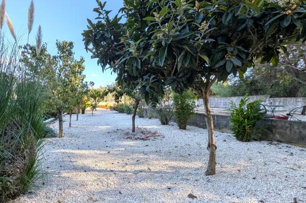 3 bed villa in Jesus Pobre