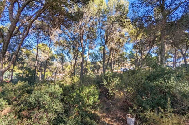6 bed villa in Moraira