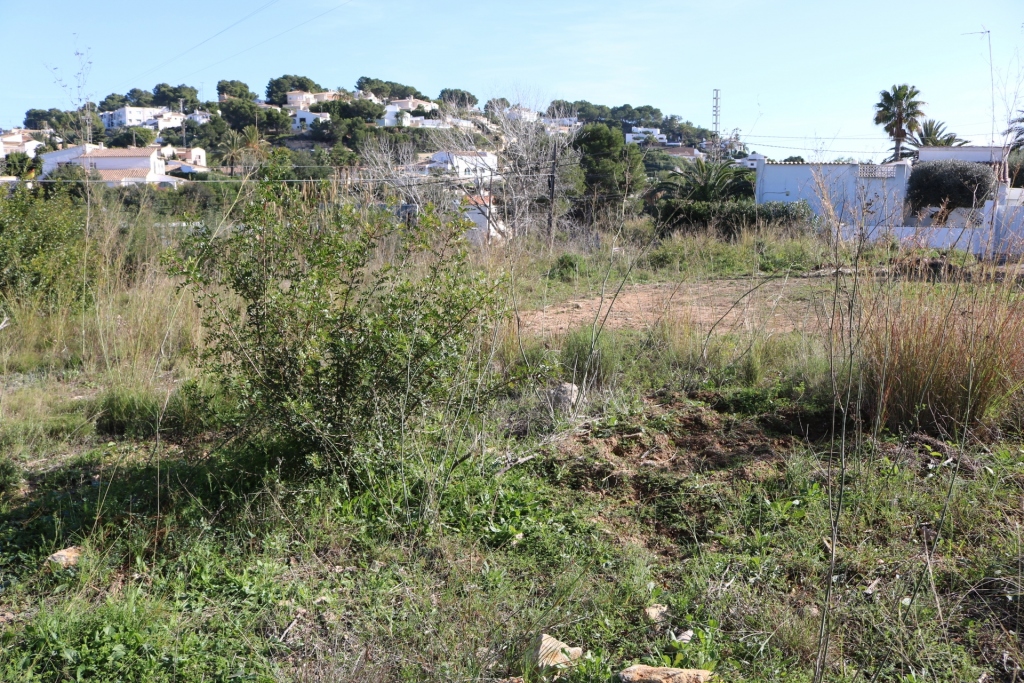 plot in Benissa