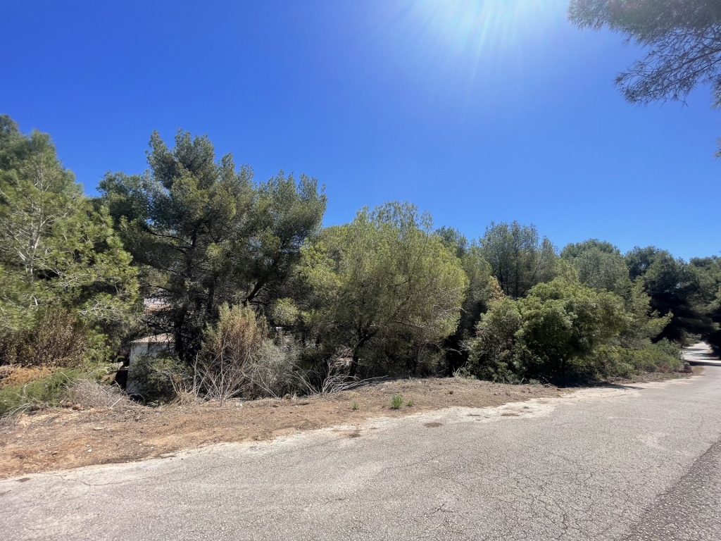 plot in Benissa