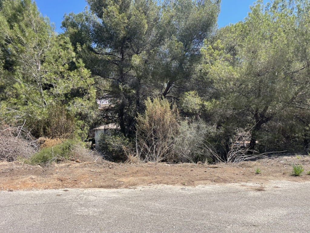 plot in Benissa