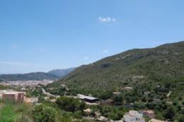 plot in Pedreguer