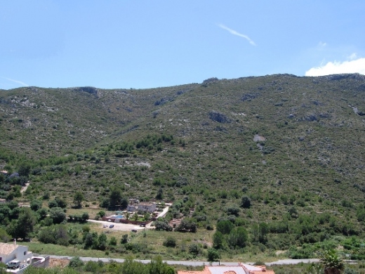 plot in Pedreguer