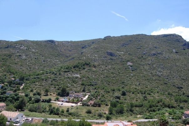 plot in Pedreguer