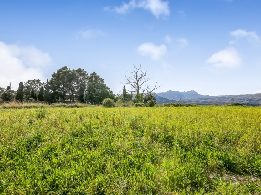 plot in Benissa