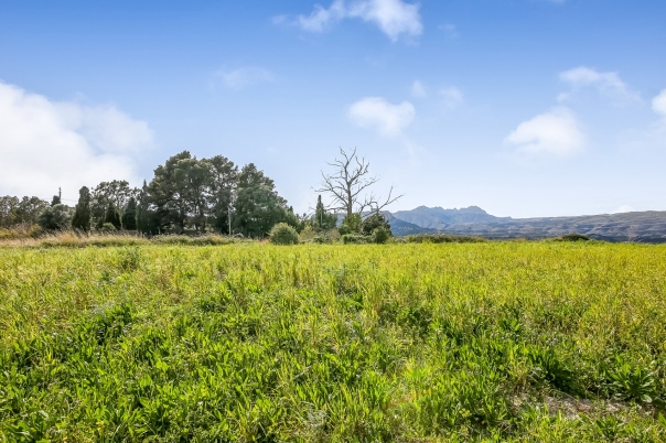 plot in Benissa