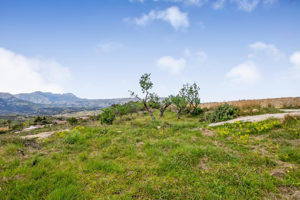 plot in Benissa