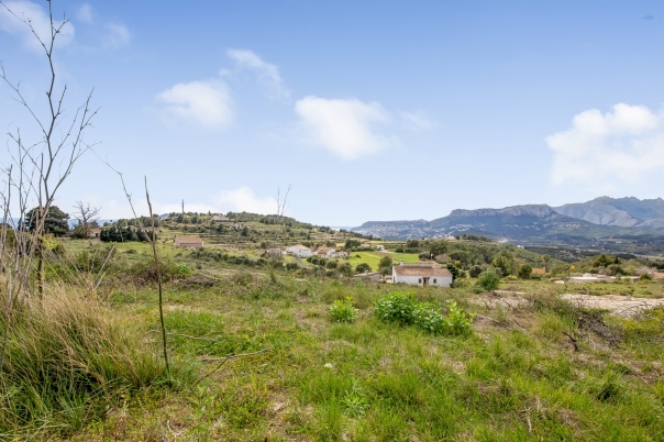 plot in Benissa