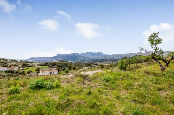 plot in Benissa