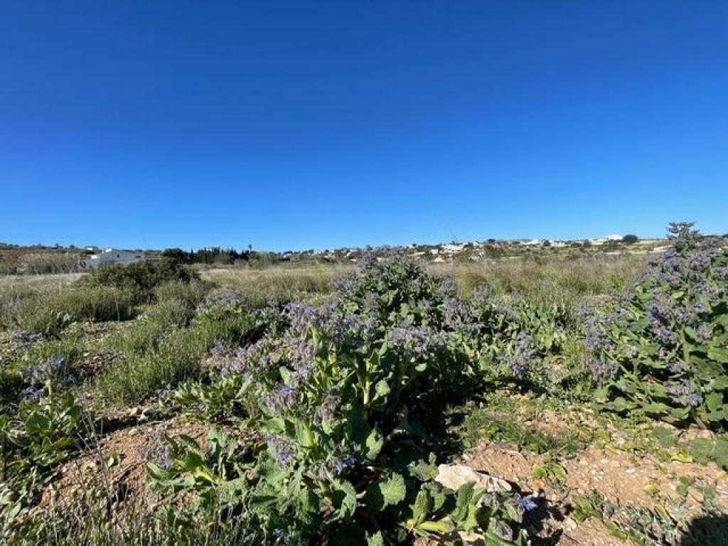 plots of land in Teulada