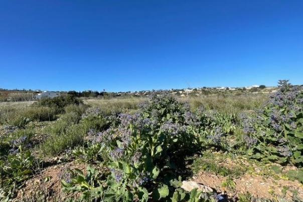 plots of land in Teulada