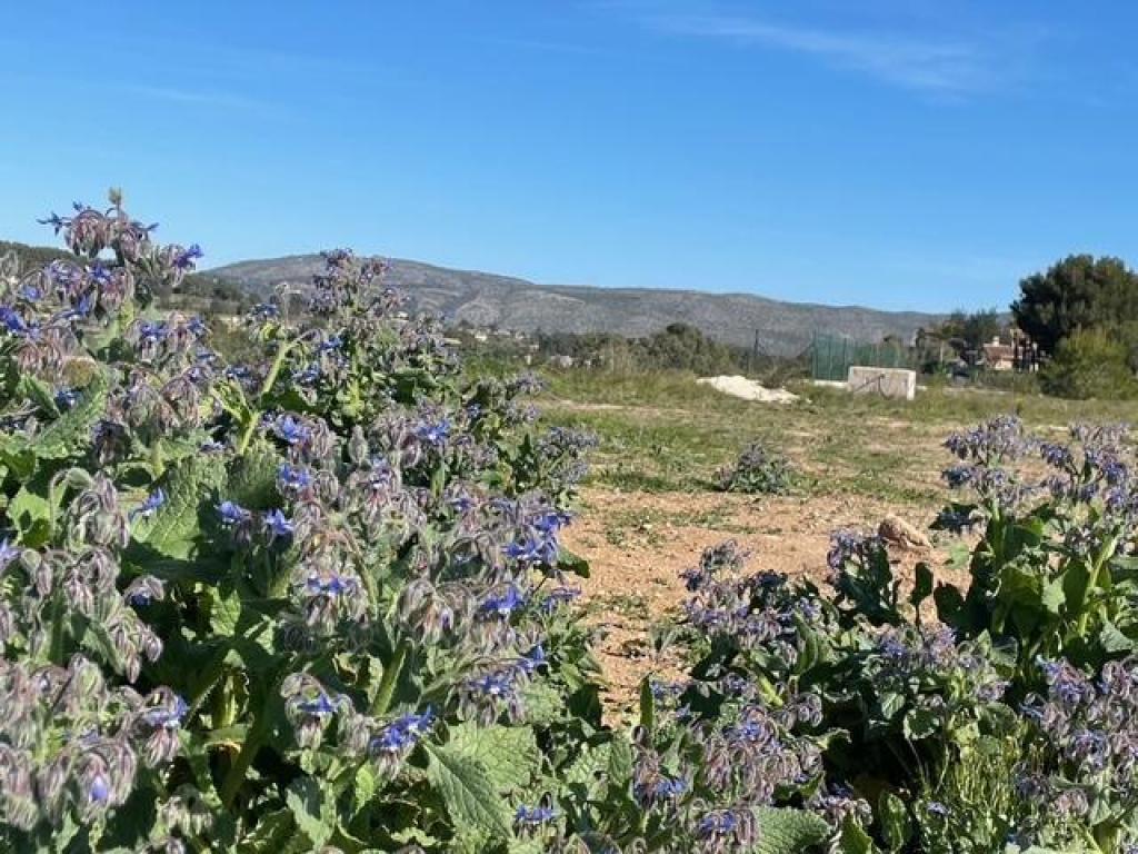 plots of land in Teulada
