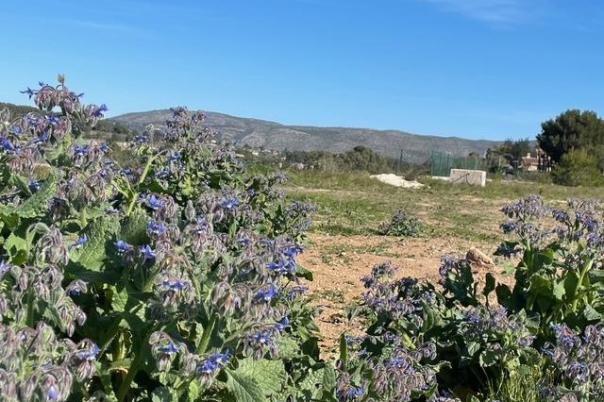 plots of land in Teulada