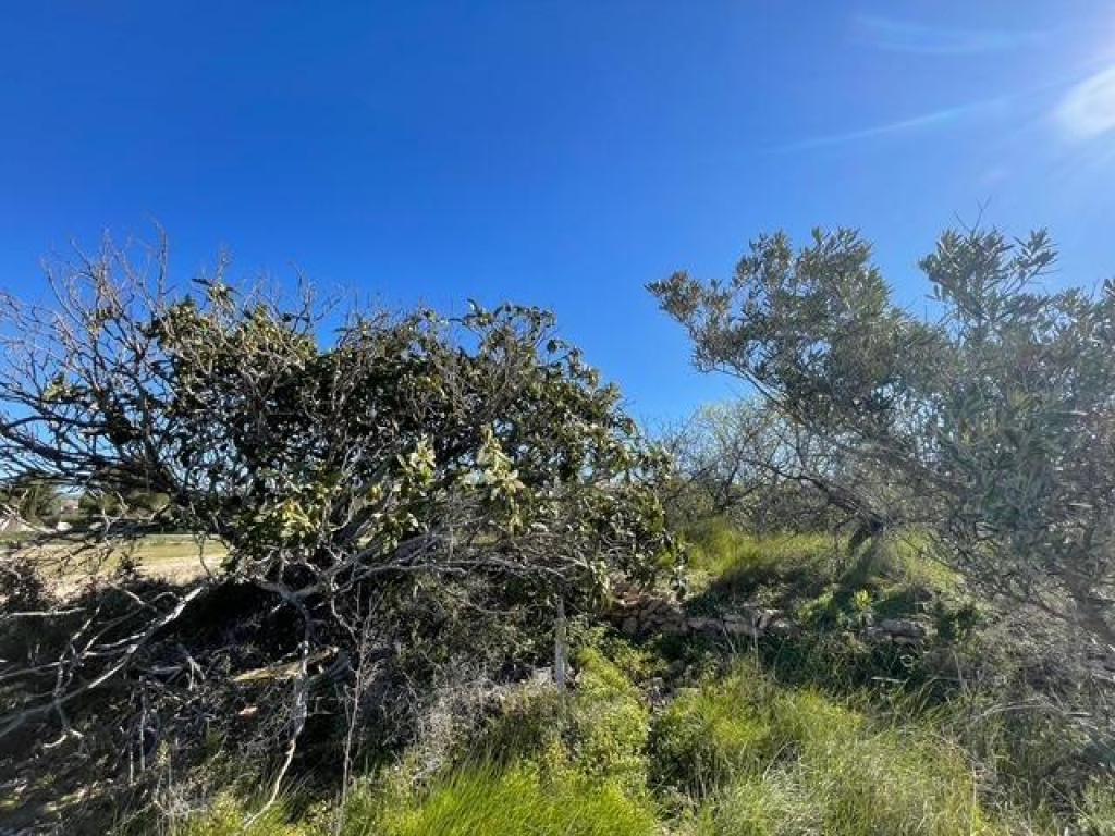 plots of land in Teulada