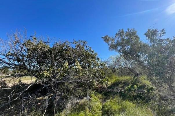 plots of land in Teulada