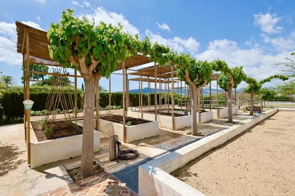 6 bed villa in Jávea