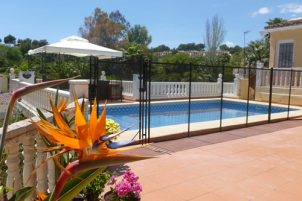 Neater Pool Safety Fence - Pool Fencing