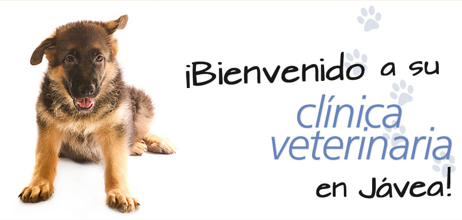 Clinica Veterinaria Dra. Mª Carmen Garcia - Vet in Javea