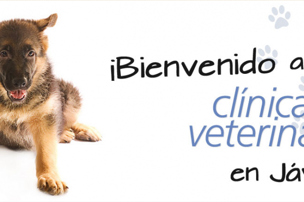 Clinica Veterinaria Dra. Mª Carmen Garcia - Vet in Javea