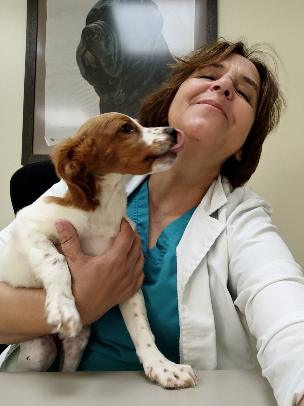 Clinica Veterinaria Dra. Mª Carmen Garcia - Vet in Javea