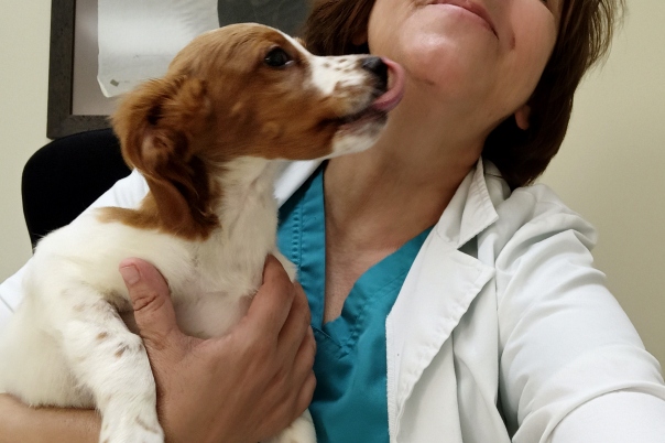Clinica Veterinaria Dra. Mª Carmen Garcia - Vet in Javea
