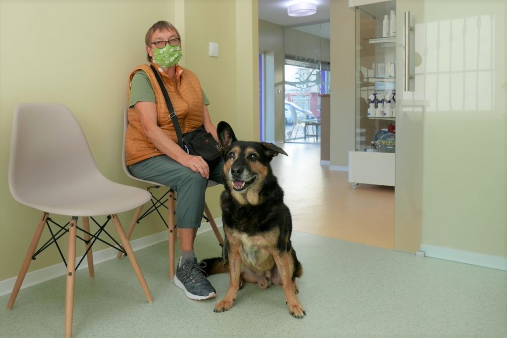 Clinica Veterinaria Dra. Mª Carmen Garcia - Vet in Javea