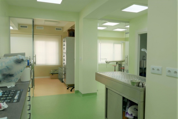Clinica Veterinaria Dra. Mª Carmen Garcia - Vet in Javea