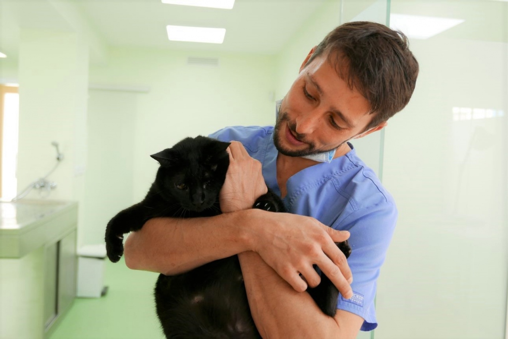 Clinica Veterinaria Dra. Mª Carmen Garcia - Vet in Javea