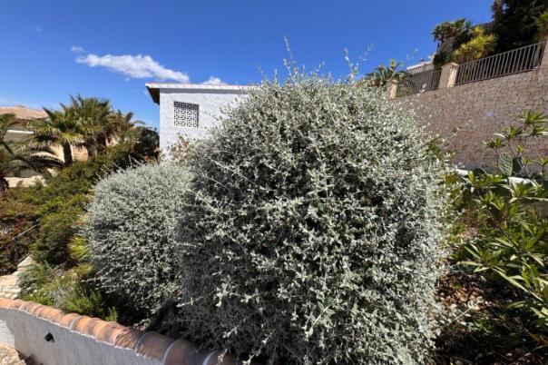 2 bed villa in Benitachell