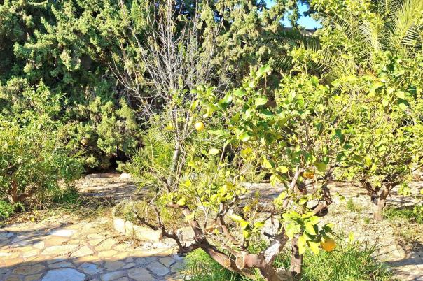 5 bed chalet in Mutxamel