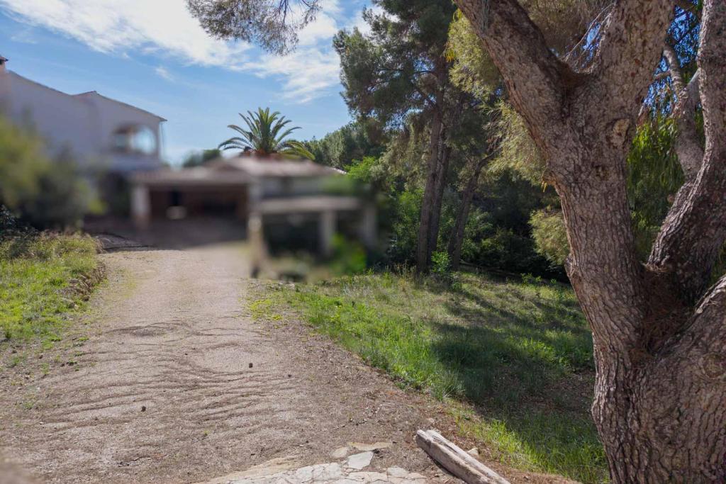 plot in Moraira