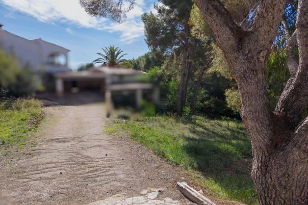 plot in Moraira