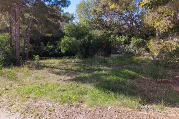plot in Moraira
