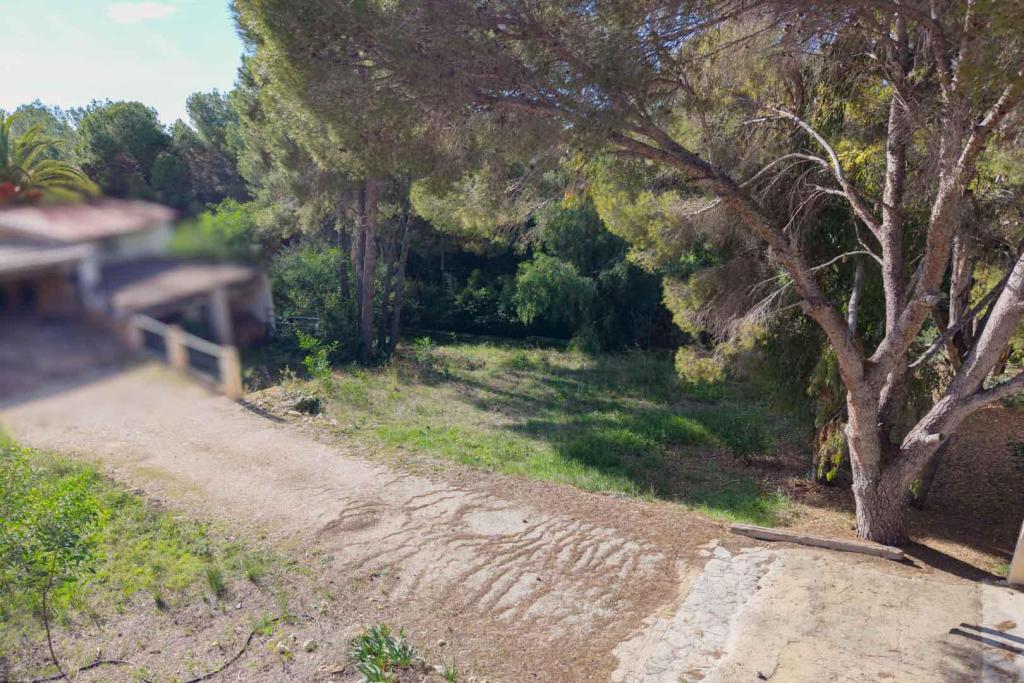 plot in Moraira