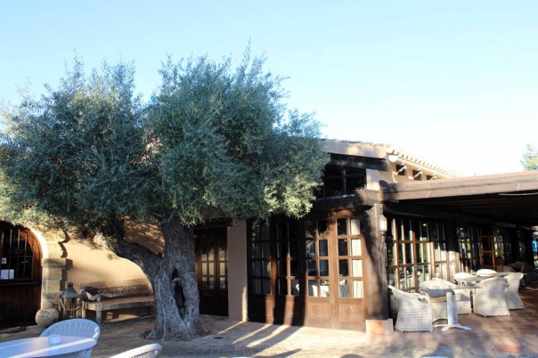 Restaurante Masena - Fine Dining Restaurant Javea