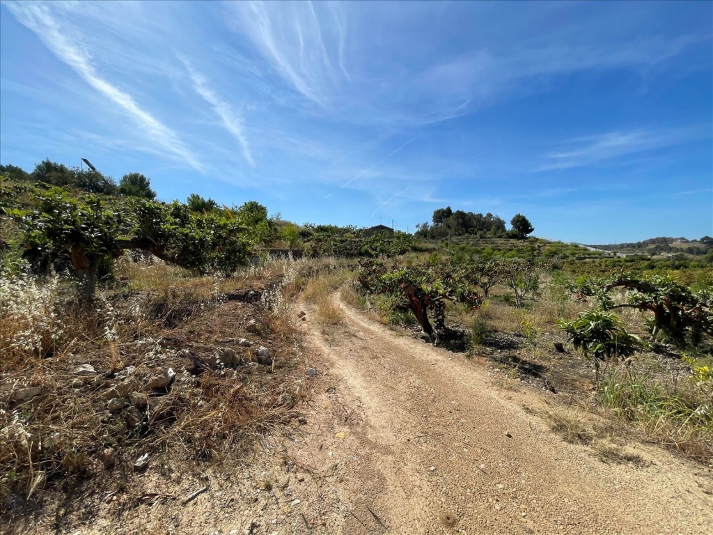 terreno in Callosa d'en Sarrià
